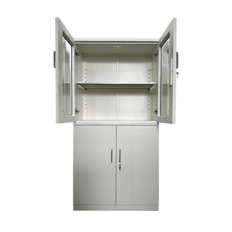 Omnia ferro Ware et Medicine Repono Cabinet