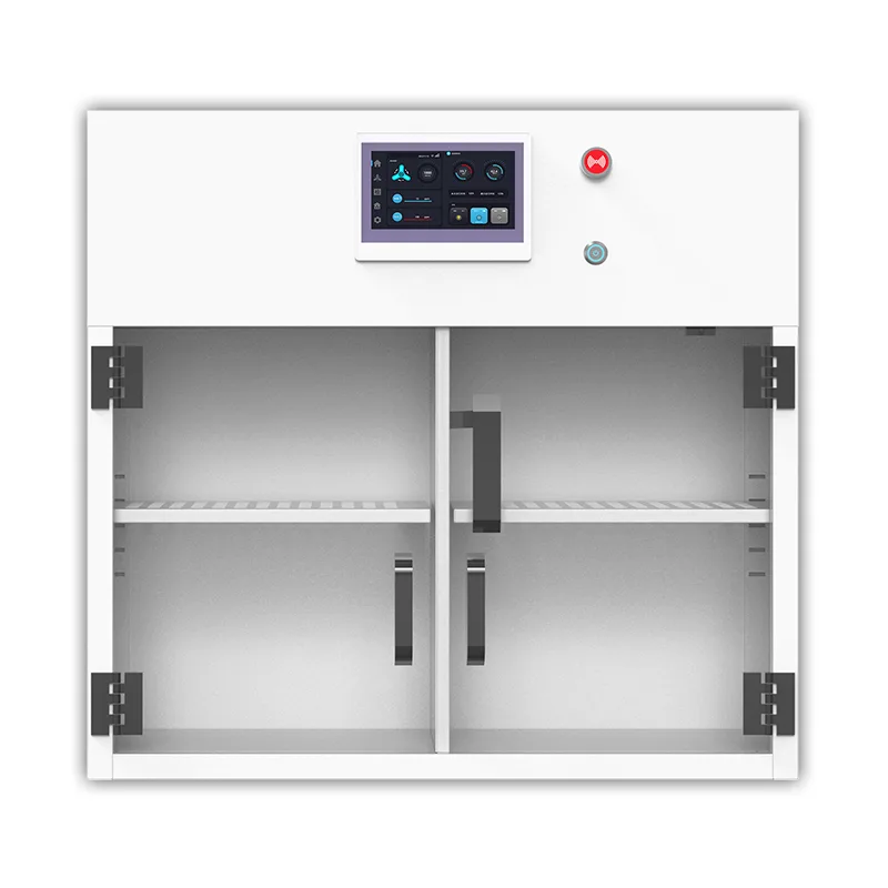 HEPA-Filtered Medicine Repono Ferro scrinium