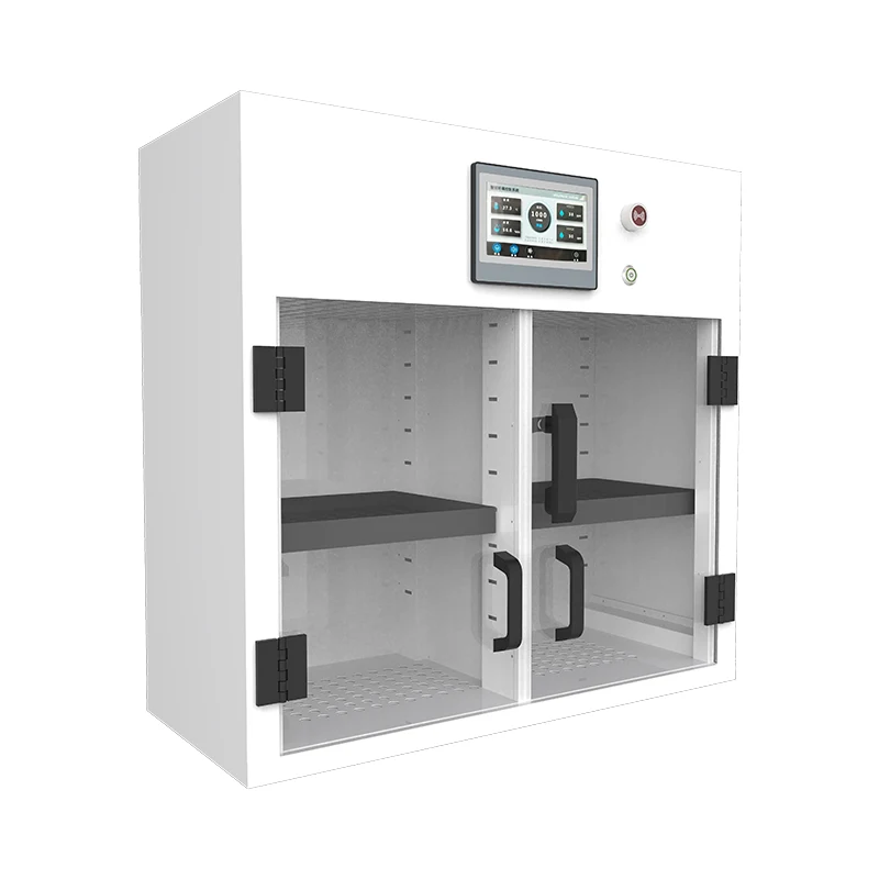 Se purgatio Medicine Repono Ferro scrinium